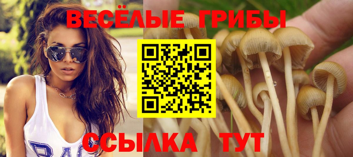 Псилоцибиновые грибы Psilocybine cubensis  Псилоцибиновые грибы Cubensis  Златоуст  Вход с VPN 