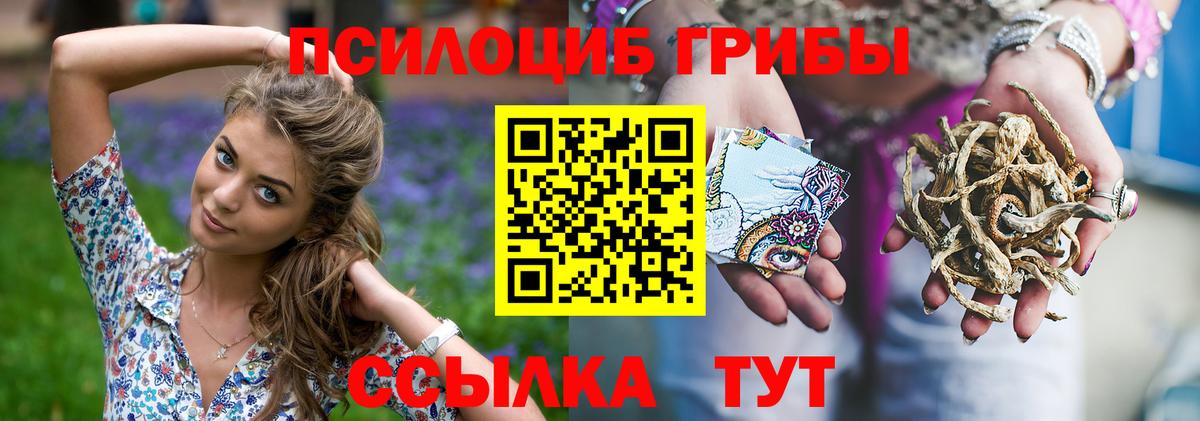 Галлюциногенные грибы Psilocybine cubensis Златоуст